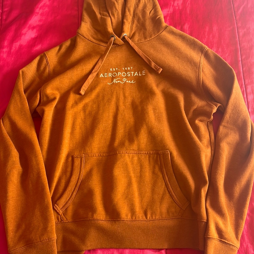 AERO Rusty Brown Hoodie